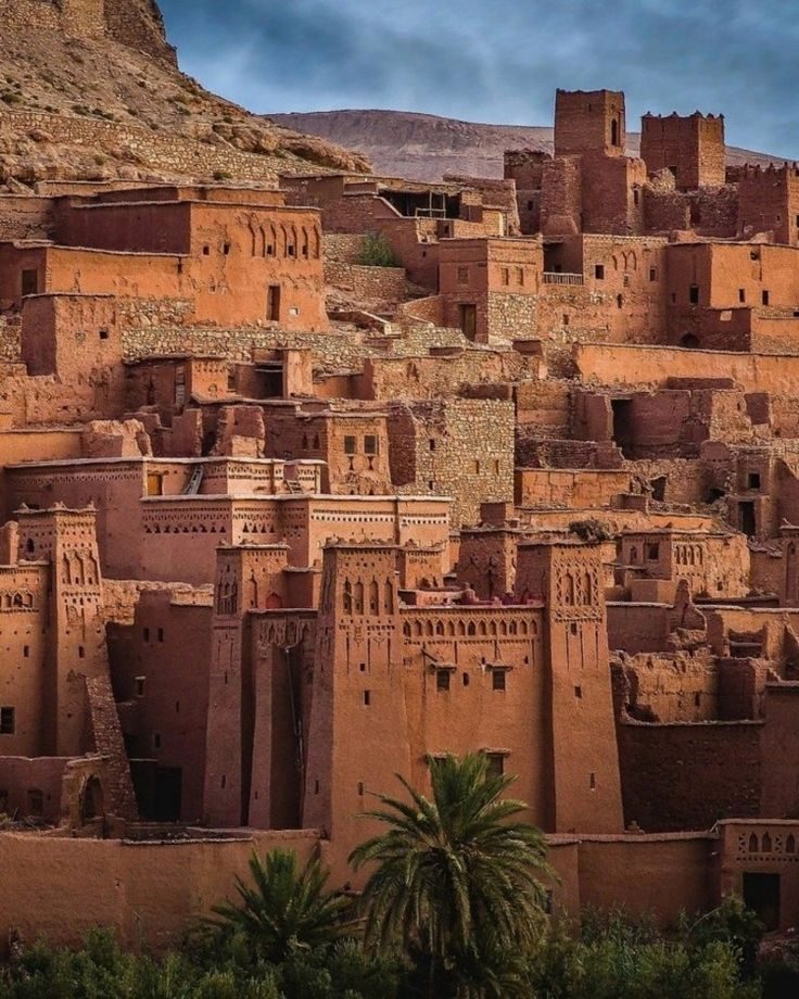 atlas mountain local tours travel agency marrakech