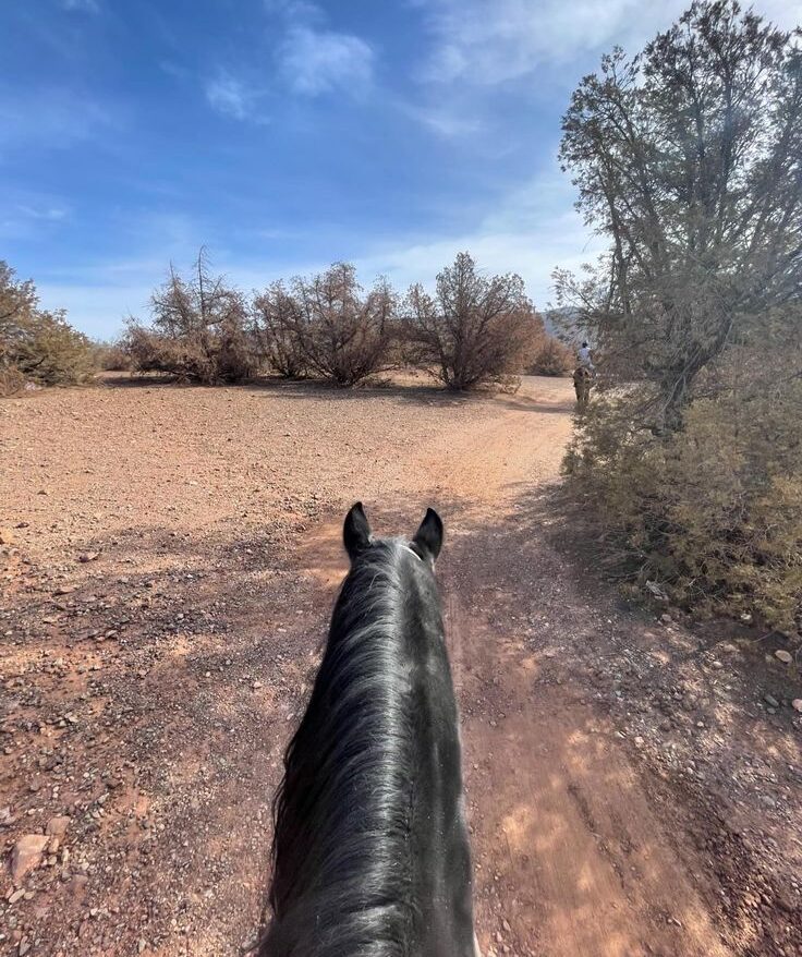 atlas hiking with guide