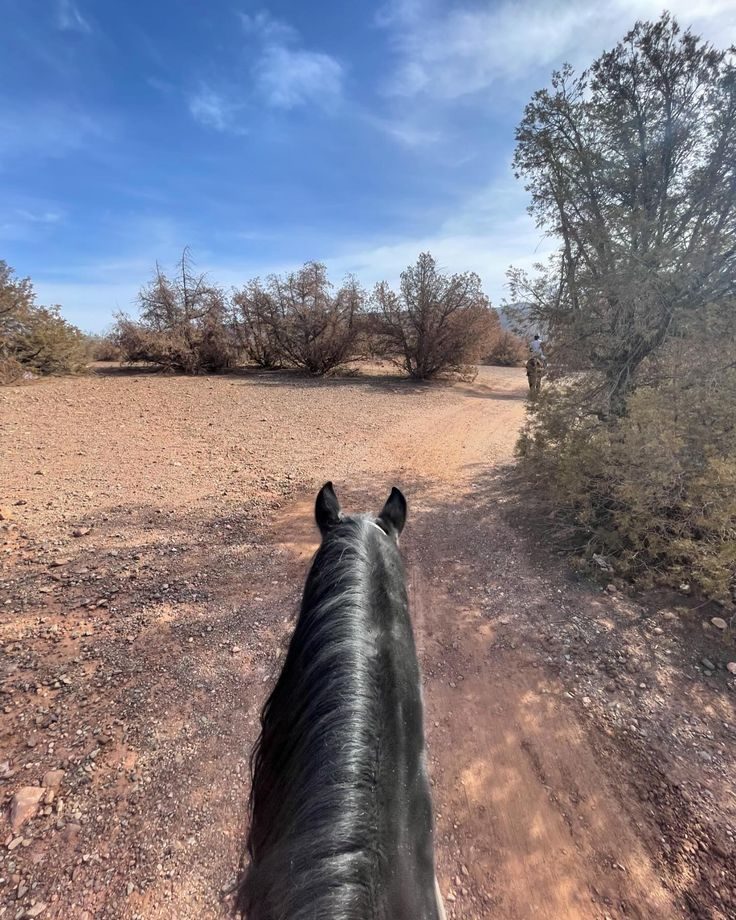 atlas hiking with guide erg chigaga tour booking