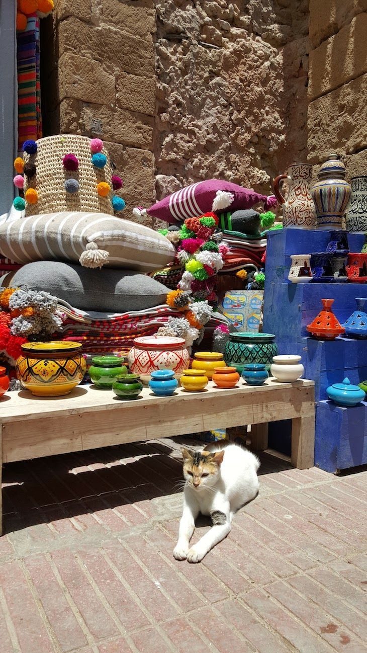 atlas authentic hiking morocco atlas studios ouarzazate tour