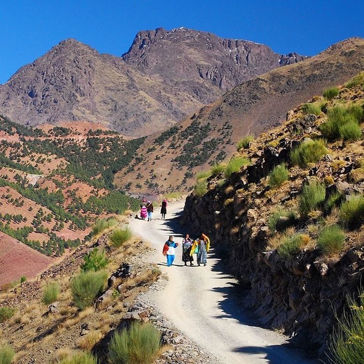 atlas best trekking agency marrakech to ouarzazate tour booking