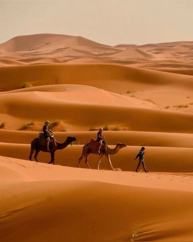 5 day visit the most beautiful city of Morocco
