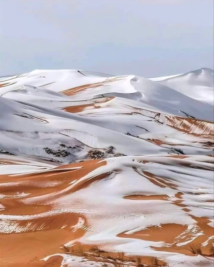 atlas nature exploration book ouarzazate tour