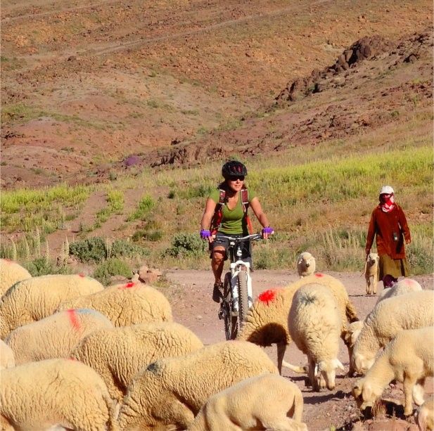 2 days bike trip Morocco