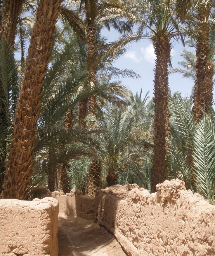 atlas toubkal experience