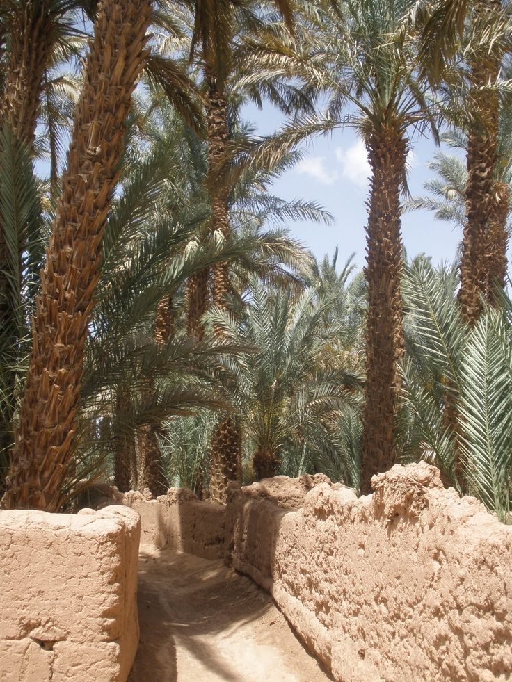 atlas toubkal experience ait benhaddou tour booking