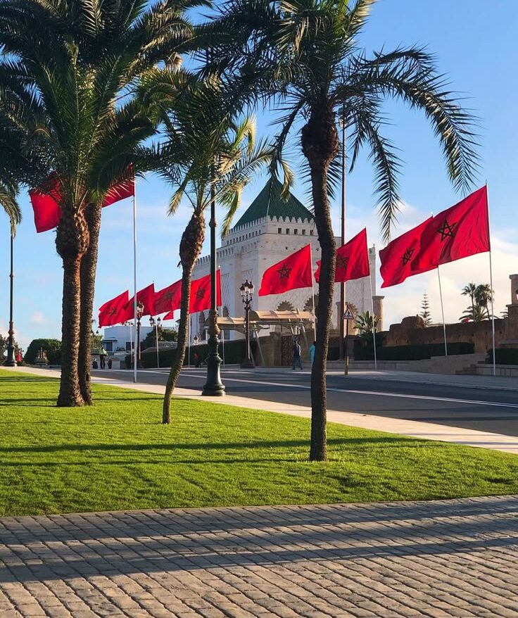 atlas mountain berber experience