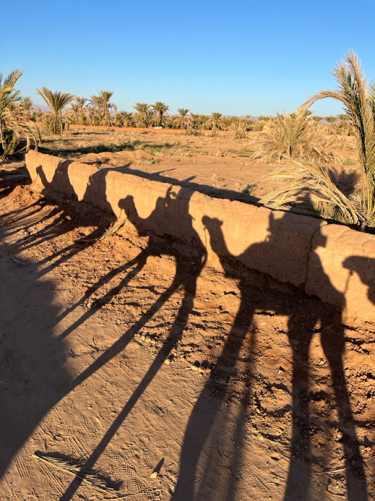 5 days Sahara desert tour chegaga