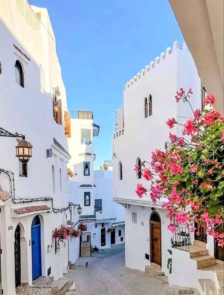 atlas short trek book ouarzazate tour