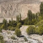 atlas mountains authentic tours