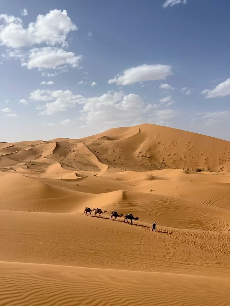 atlas valley experience marrakech airport transfer booking