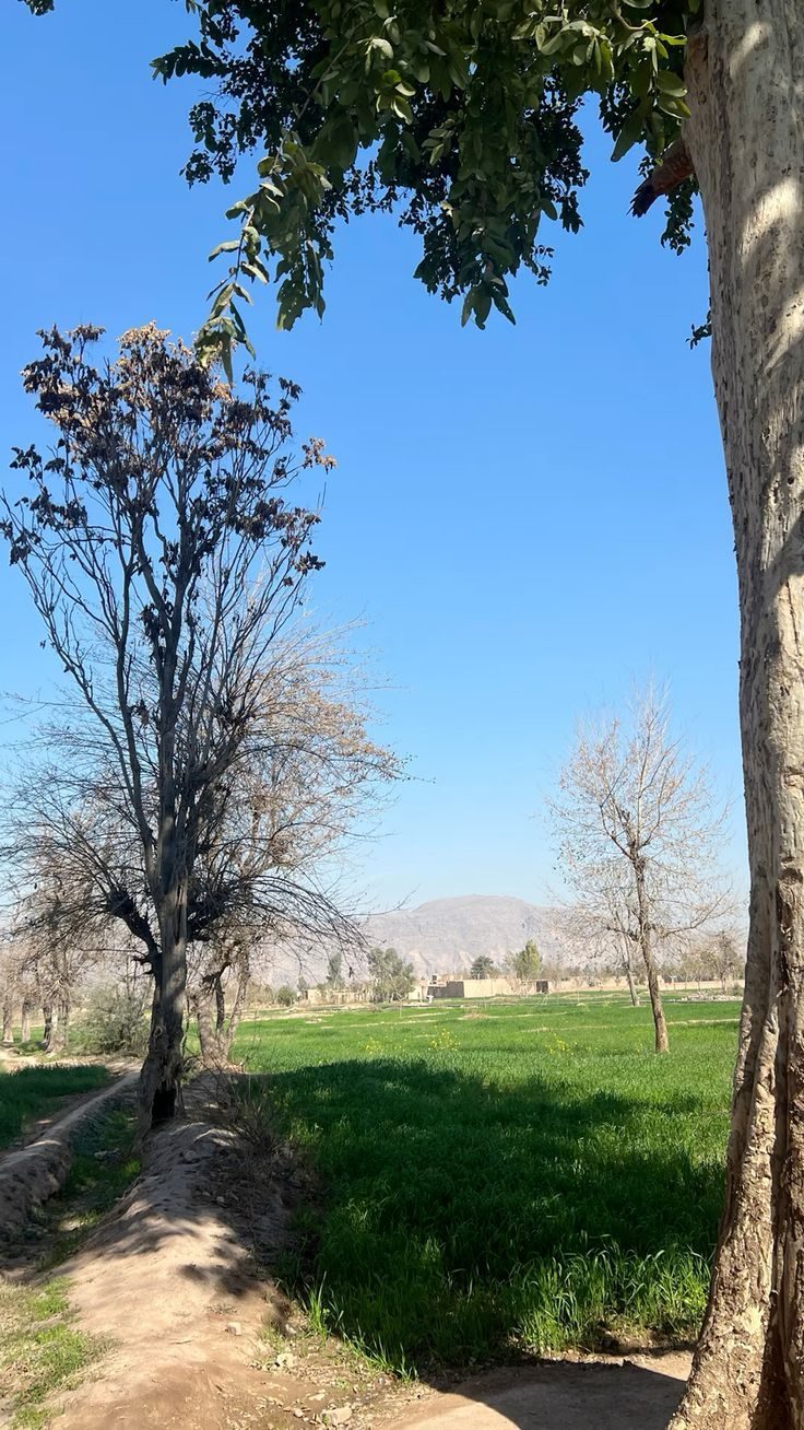 atlas mountain discovery ouarzazate private driver hire