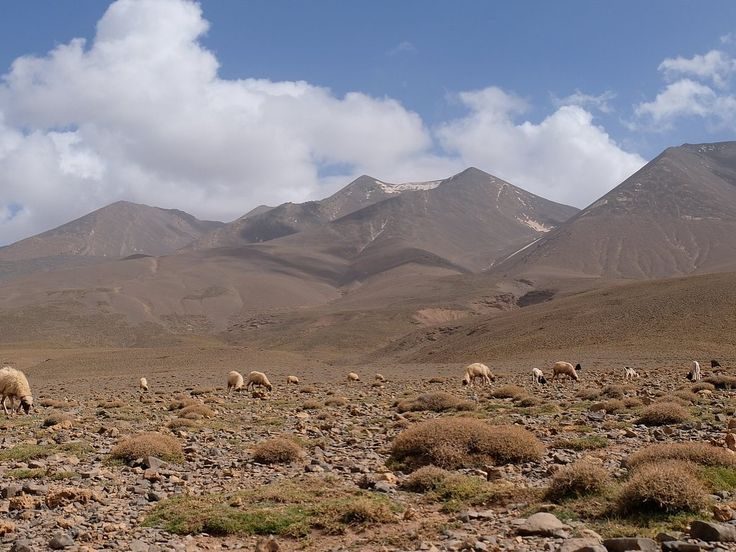 atlas mountain day hike ouarzazate private driver hire